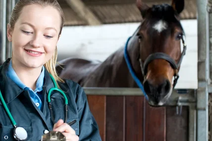 horse health issues and solution