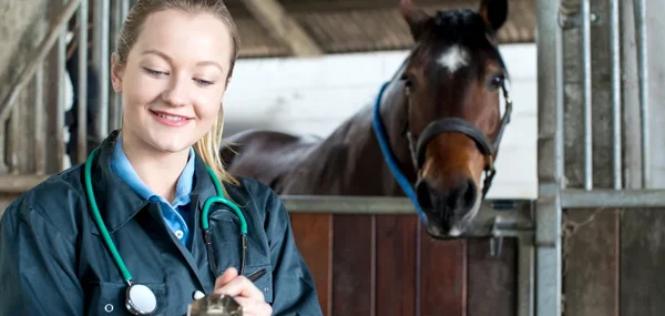 horse health issues and solution