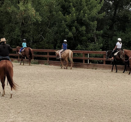 Beginner's Guide to Horse Riding Lessons
