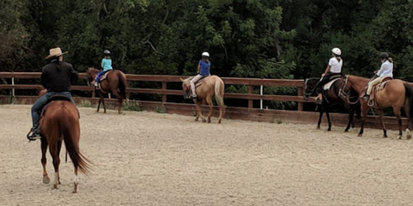 Beginner's Guide to Horse Riding Lessons