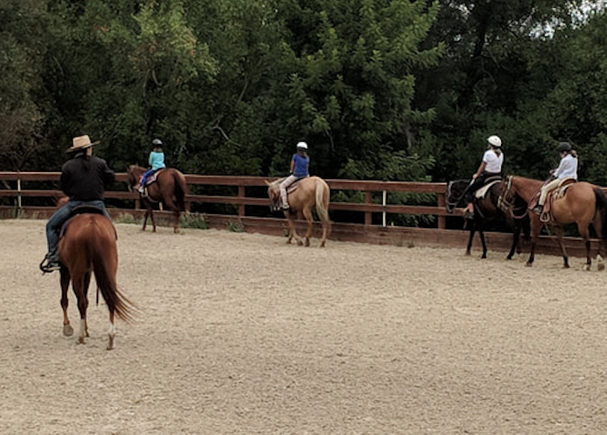 Beginner's Guide to Horse Riding Lessons