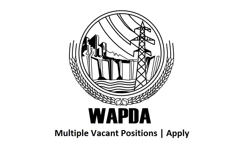 WAPDA Govt Jobs 2024