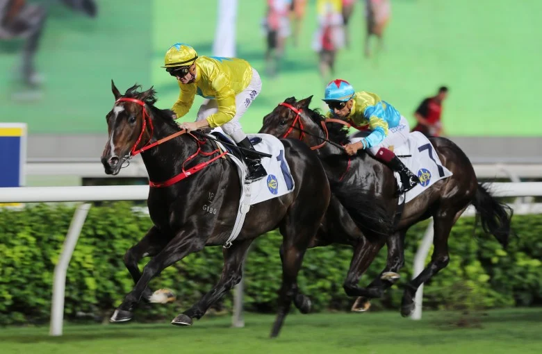 Race Result | 28 Sep 2024 | Sha Tin | Race 1 HO PUI HANDICAP - Full Recap & Stats