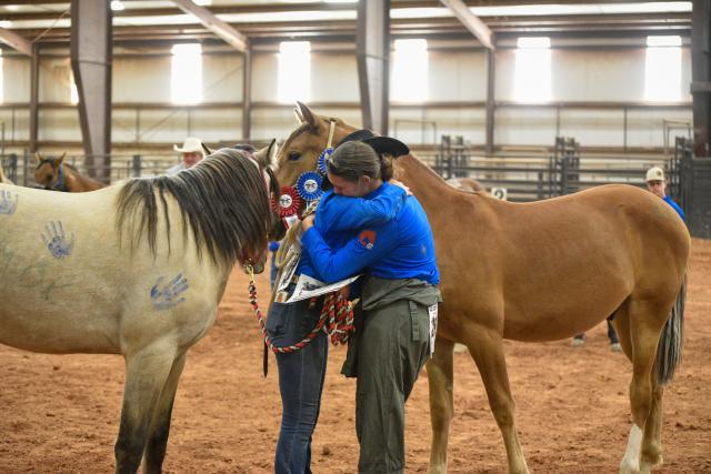 Hold Your Horses: The 5th Annual Wild Horse and Burro Festival