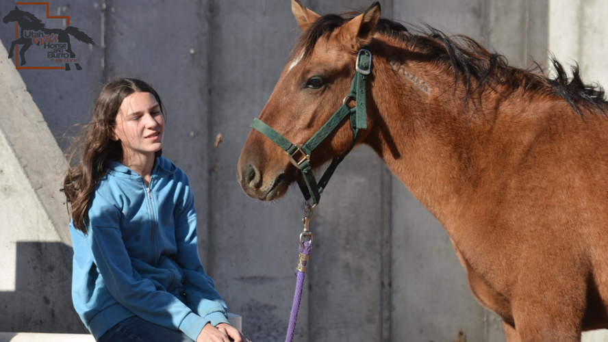 Hold Your Horses: The 5th Annual Wild Horse and Burro Festival