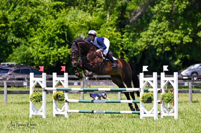 Sport Horse Nation Spotlight